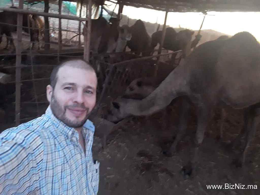 Dromedary dairy/منتجات الألبان