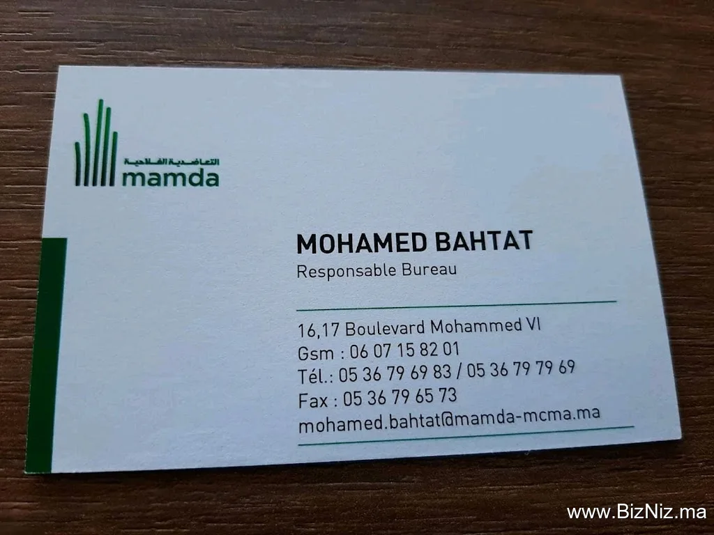 Mamda Mcma Bouarfa