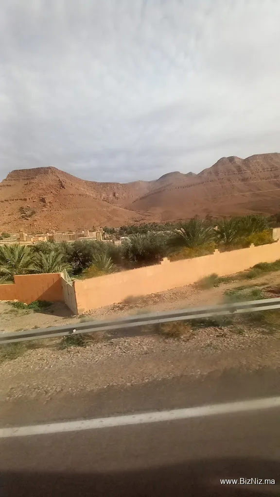 تدارت نتبلا او المكاوي