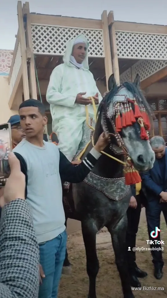 العيون سيدي ملوكCanalm