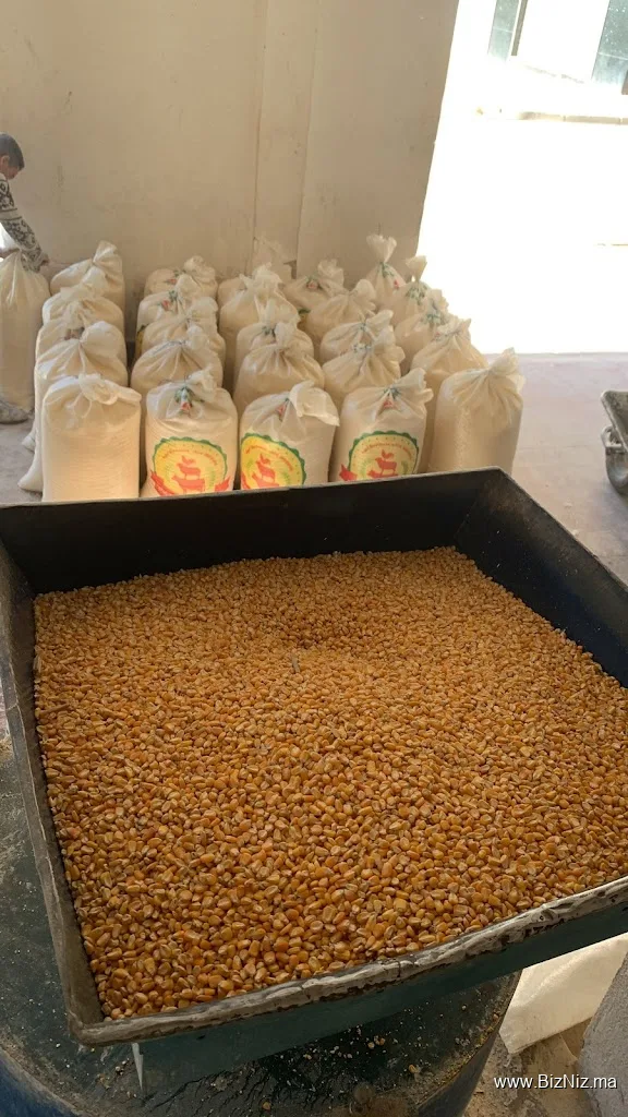 مطحنة مرحبا الدريوش