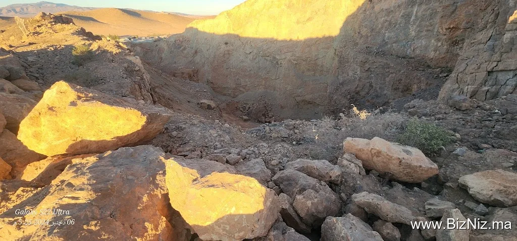 كانكاسور النعيمة