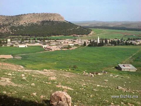 The Zellidja Lead Smelter Company