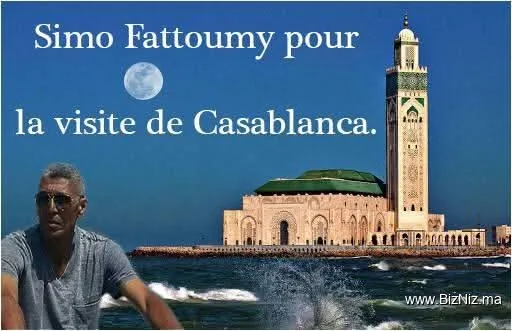 Hafy transports