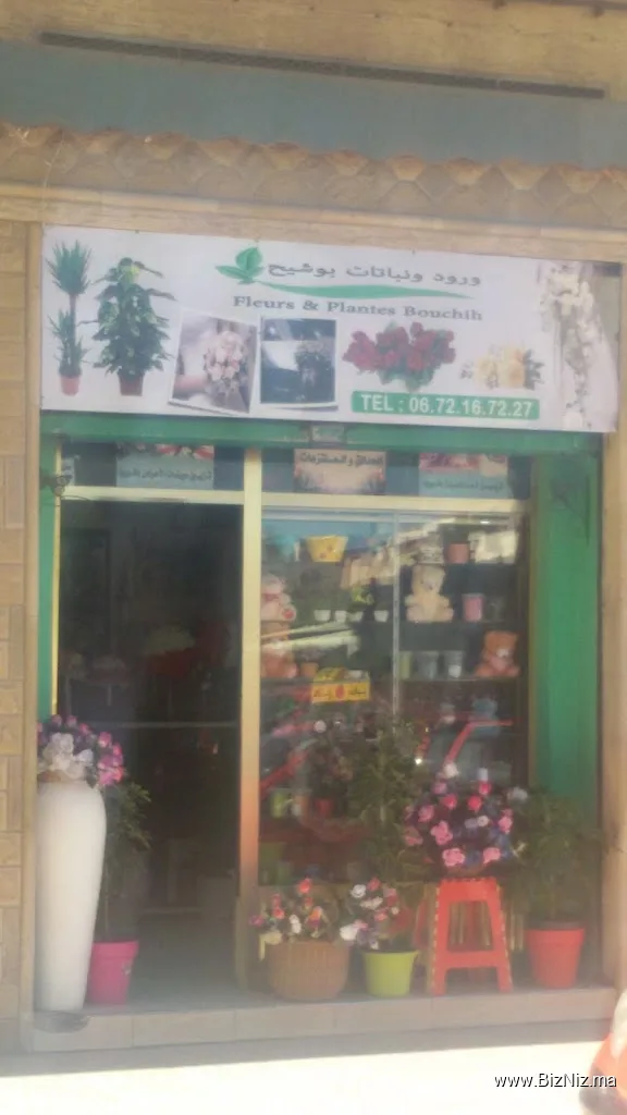 Fleurs & Plantes Bouchih