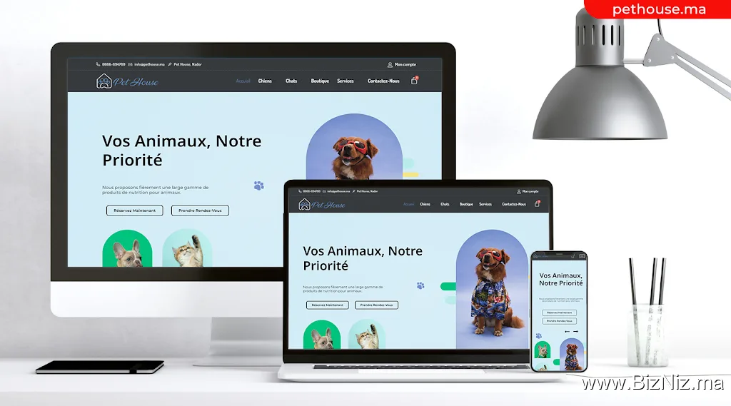ElmWeb.dev | Clean, Modern Websites