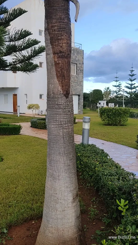 Résidence Perla Îlot 2