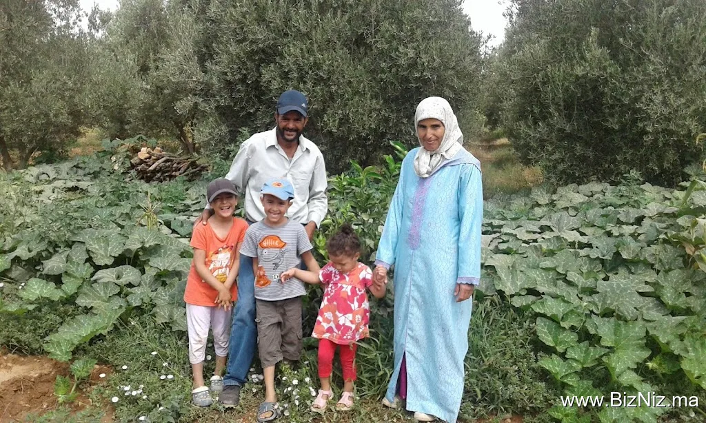 Zaio Voyage Et Tourisme