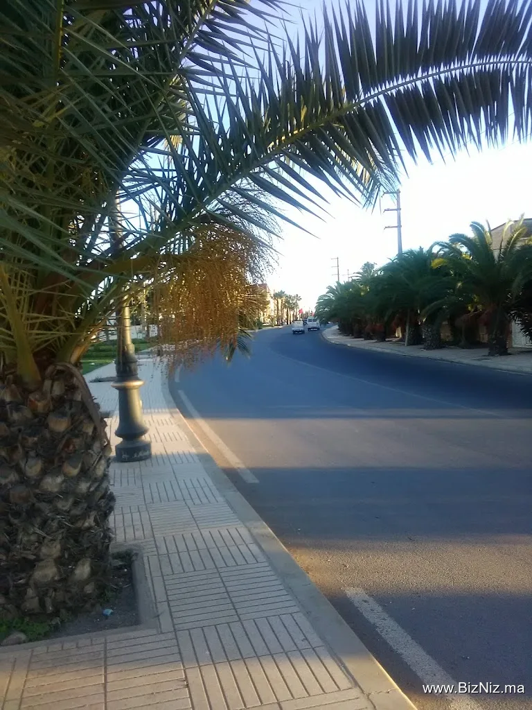 SEWS E Maroc