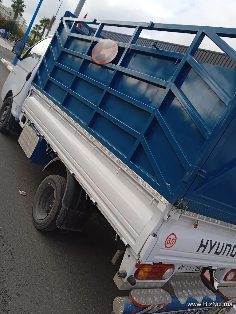 Transport experto