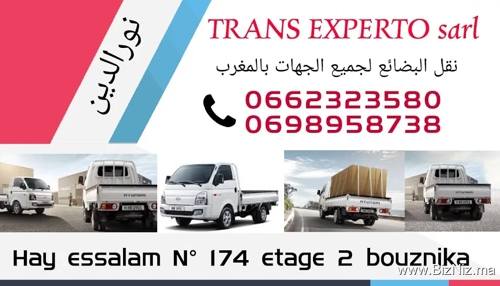 Transport experto