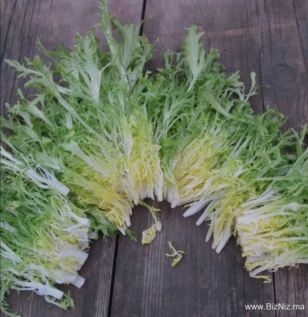 Salade dandoun bouknadel