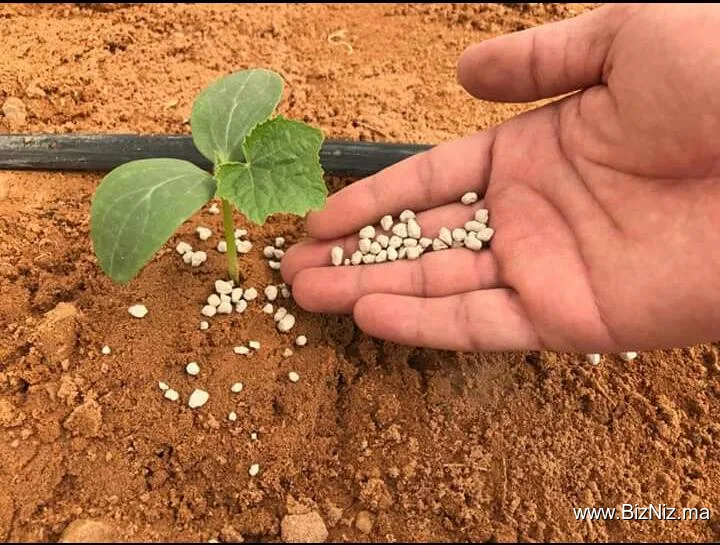 WAFA IRRIGATION