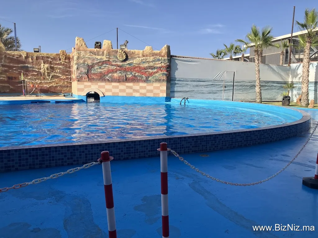 Atwa Tours