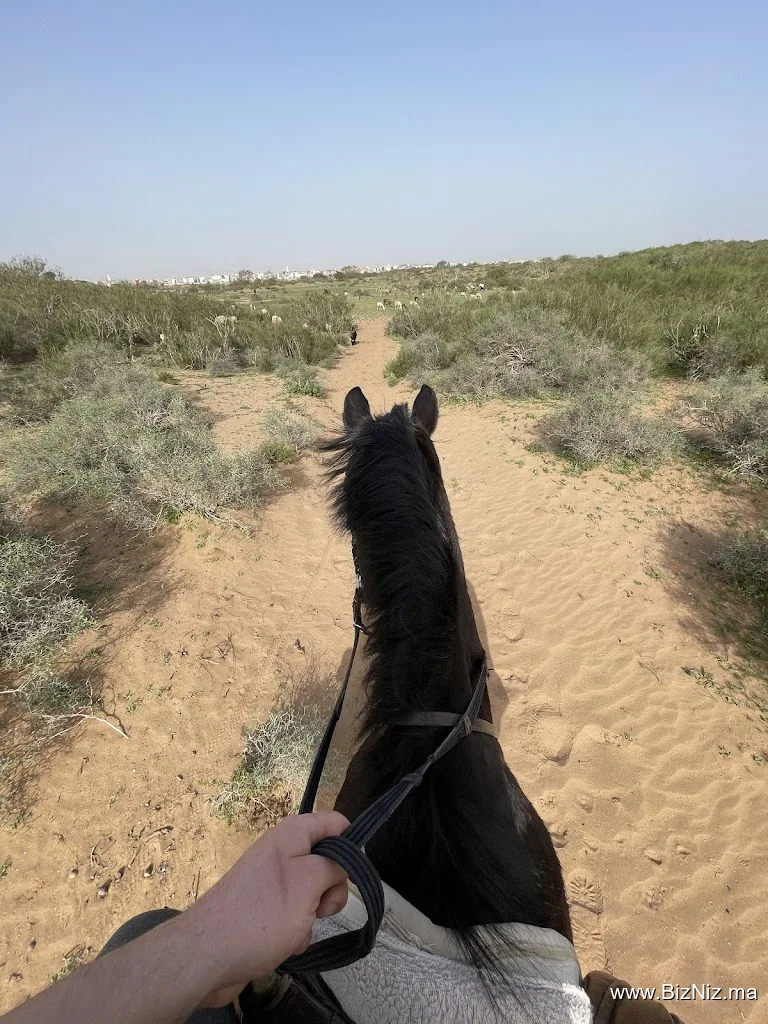 Club Equestre Lamzar