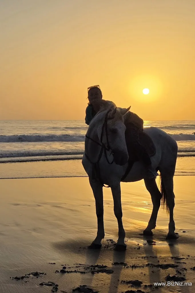 Ranch paradise - Horse riding Taghazout