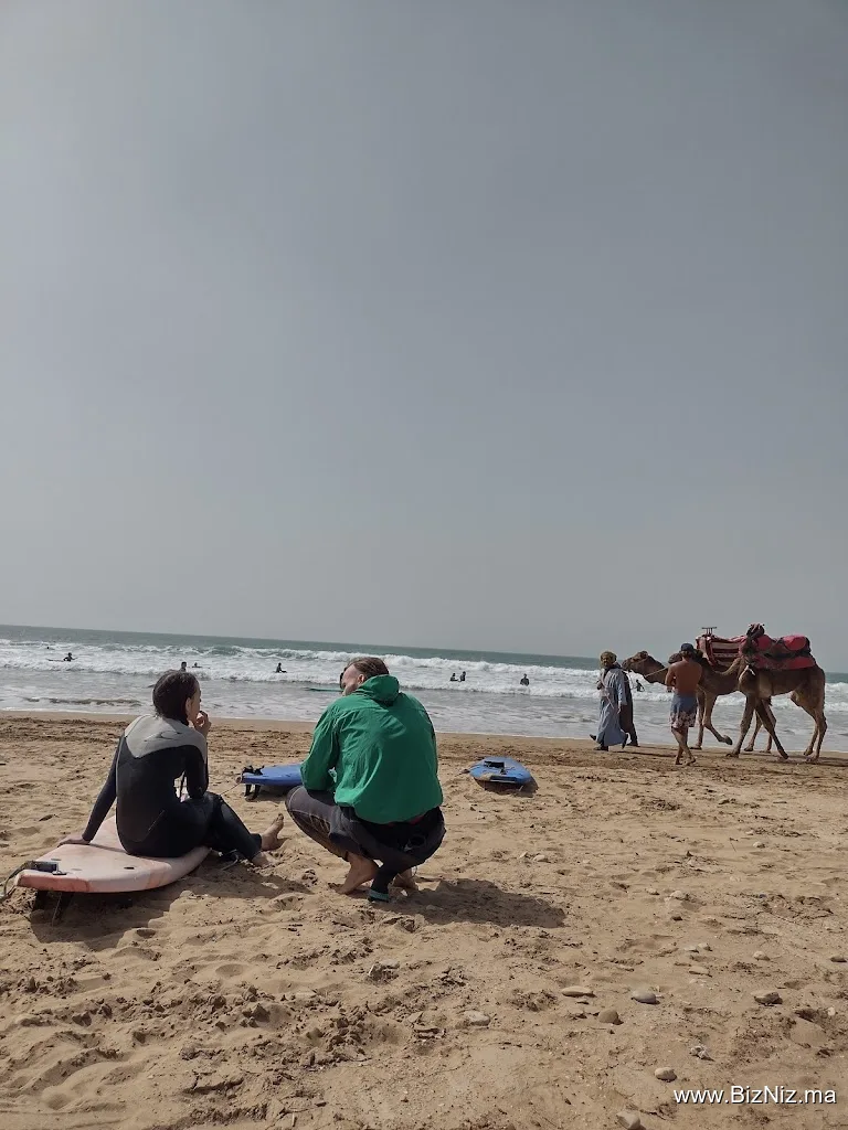 Awesome Surf Morocco
