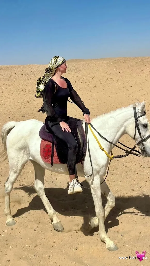 Amazigh horses