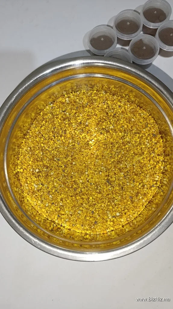 Coopérative Agricole HUYAMY