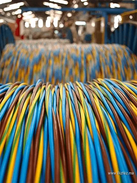 شركة بيوكرى فوكس عقاقير