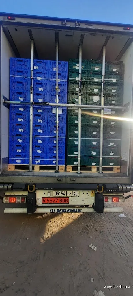 Douna Export دونا اكسبور