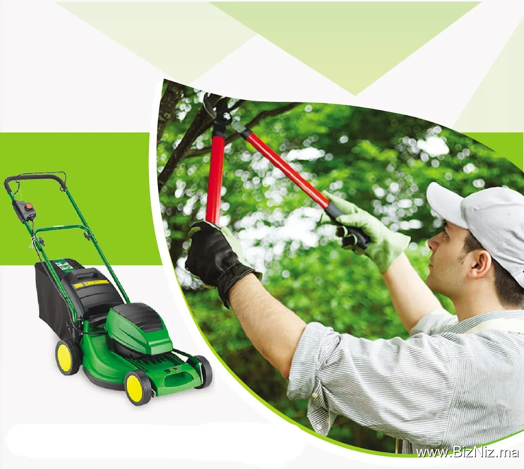 assia multiservices