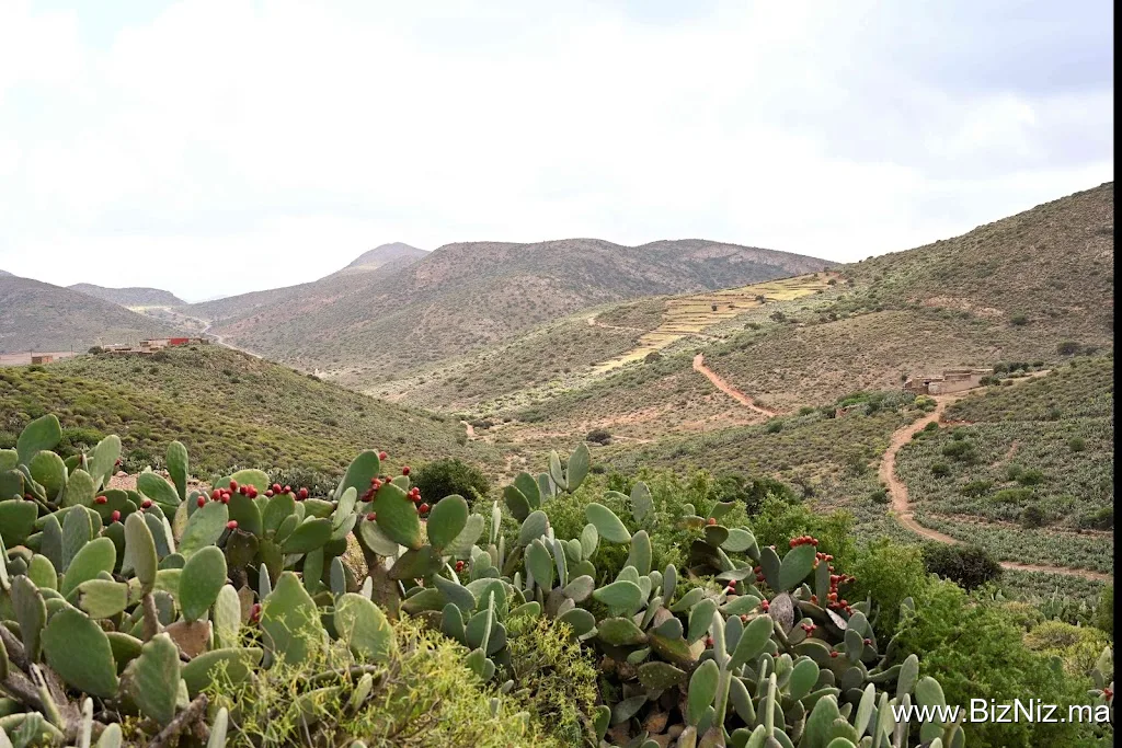 Office Régional de Mise en Valeur Agricole du Souss Massa
