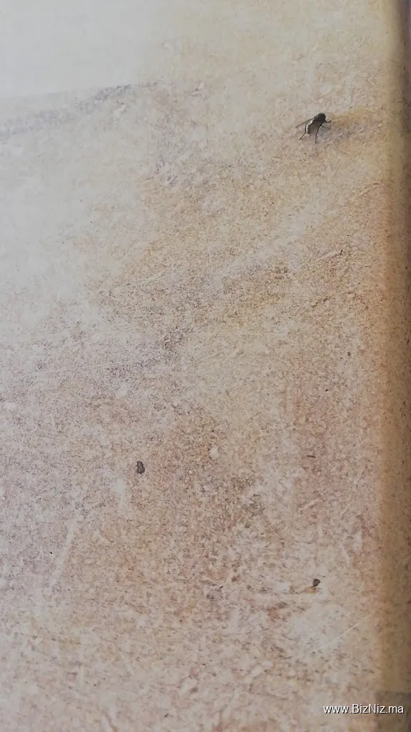 Ittisalat Almarghreb