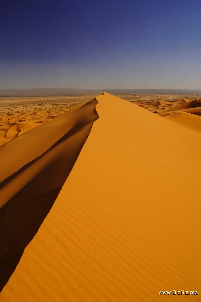 Desert Majesty
