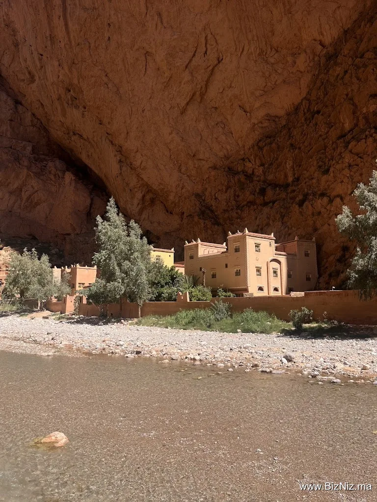Desert Majesty
