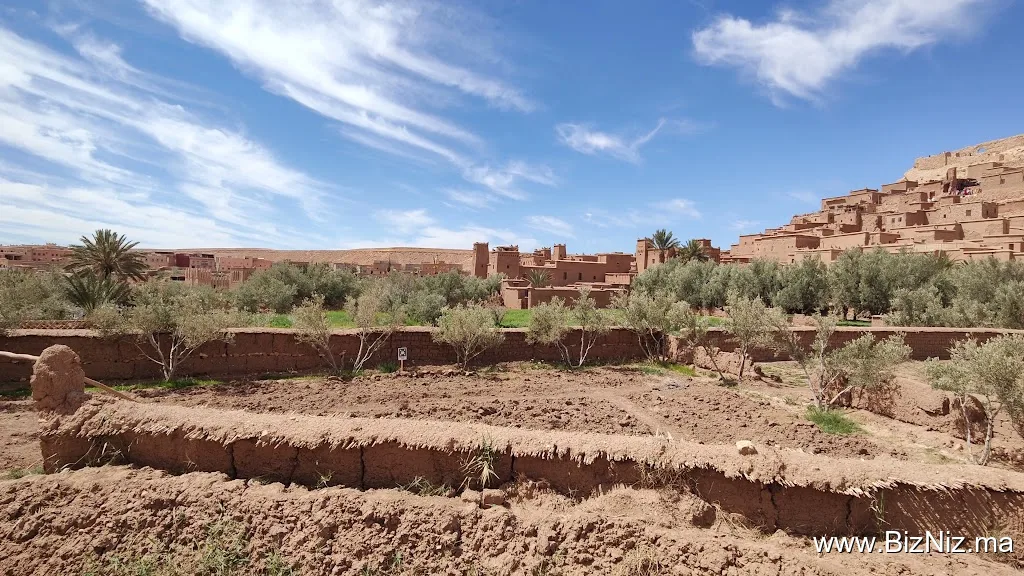 Tifoultoute Kasbah
