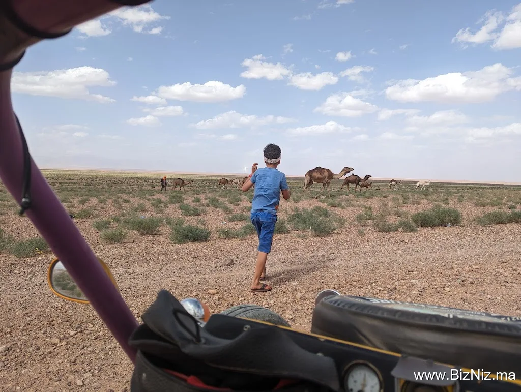 Kart Aventure