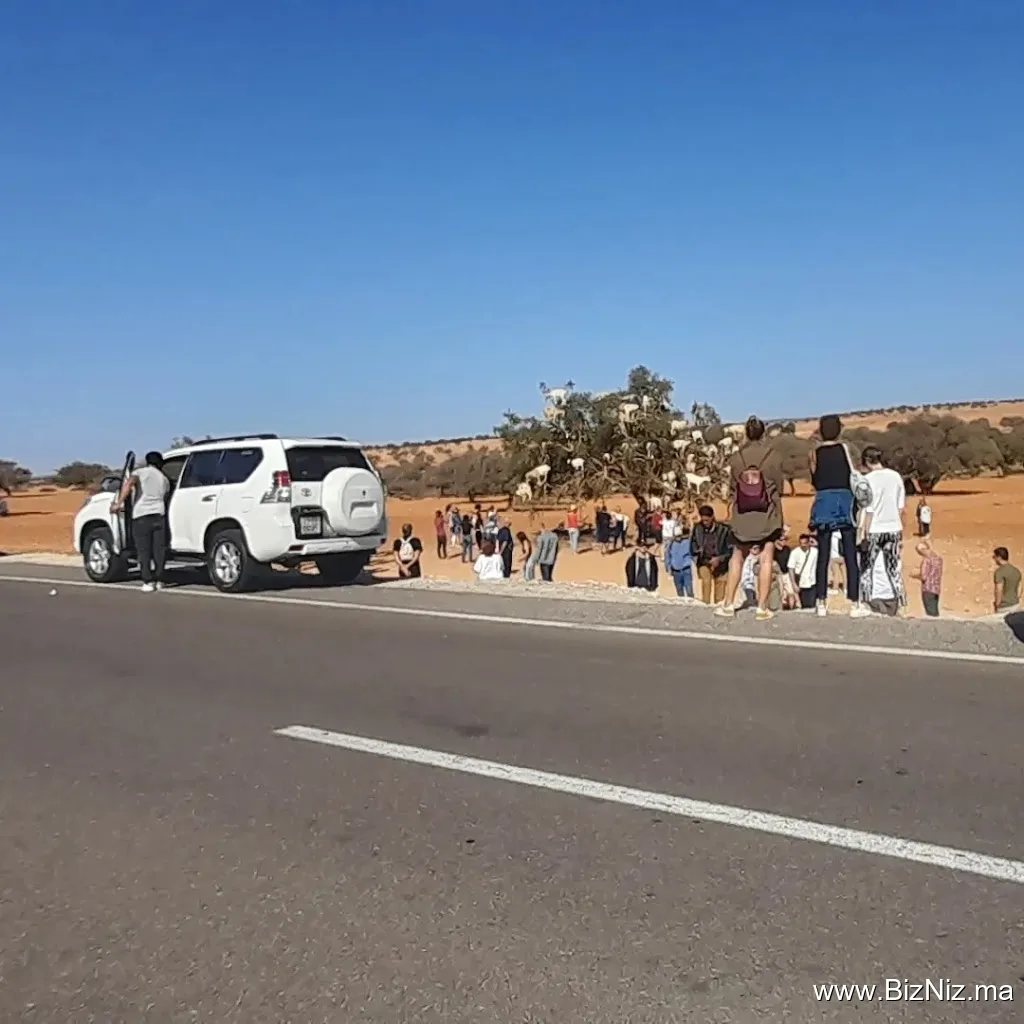 Visit Around Morocco