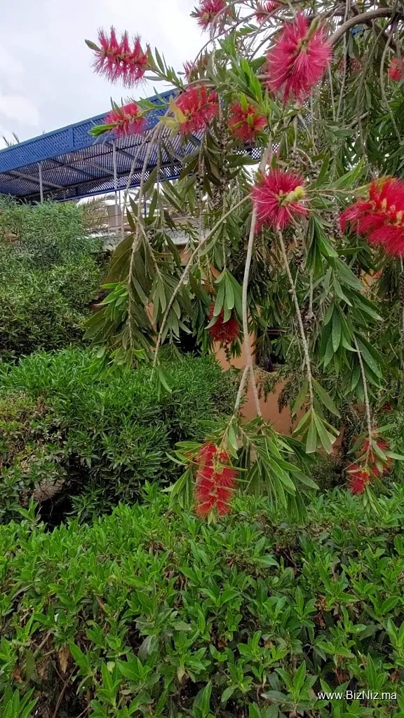 Les Jardins de Ouarzazate