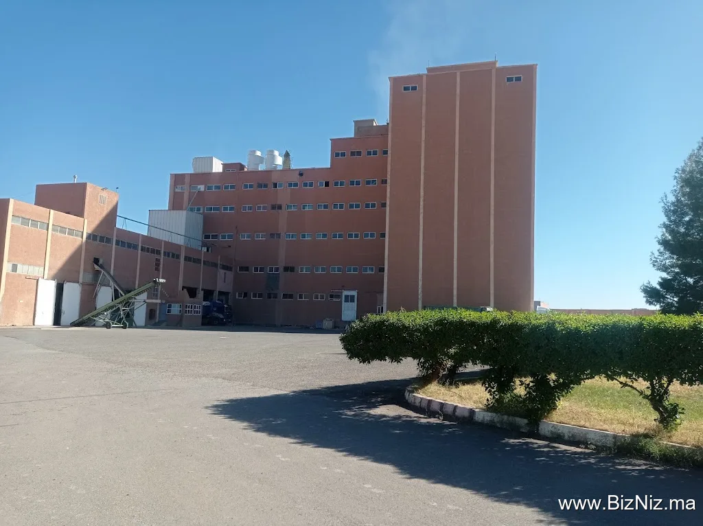 Grands Moulins d'Ouarzazate Sa : Minoterie & Semoulerie