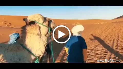 Morocco Nomad Safari