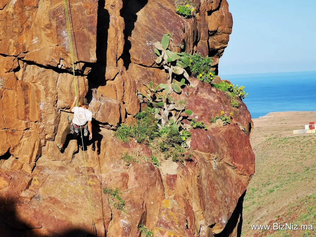 SALAS Waveclimbing Company