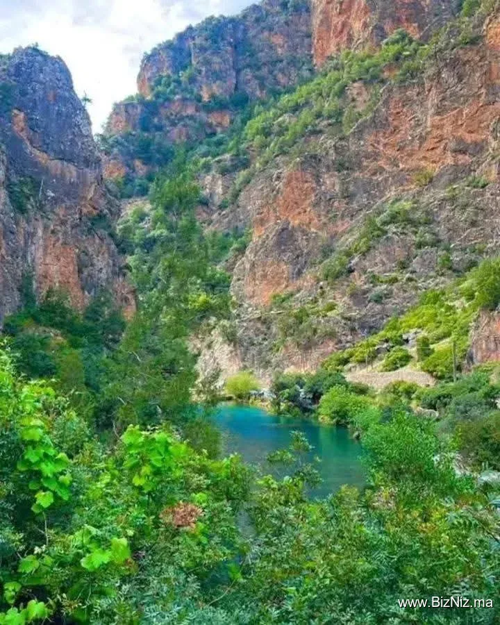 Adel – Local Guide in Akchour"