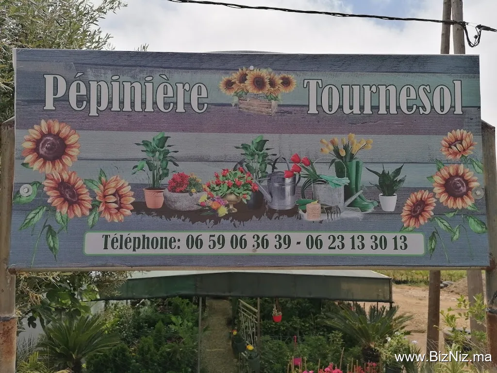 Pépinière Tournesol