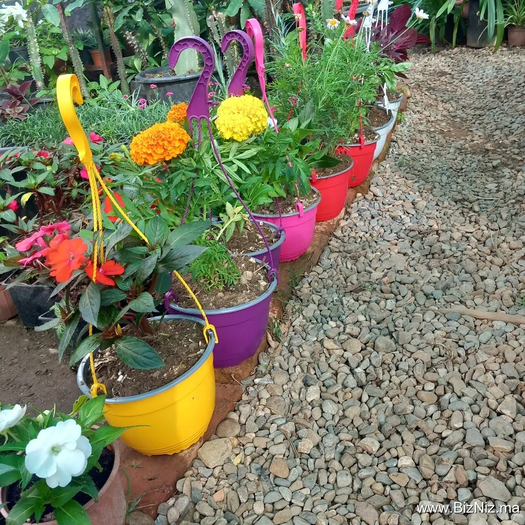 Pépinière Tournesol