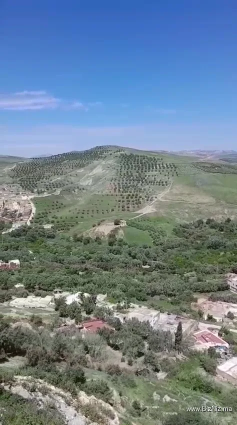Taza Haut تازة العليا