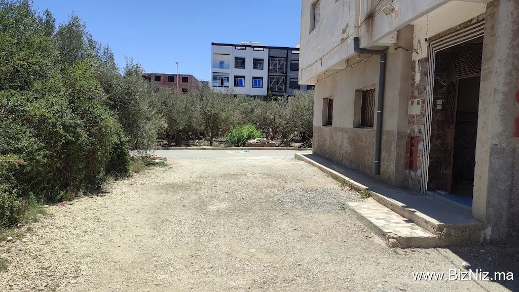 VILLA JAGUAR