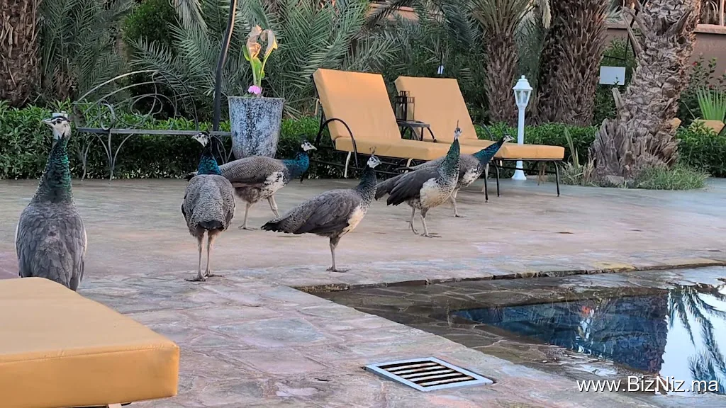 Lodge Hara Oasis