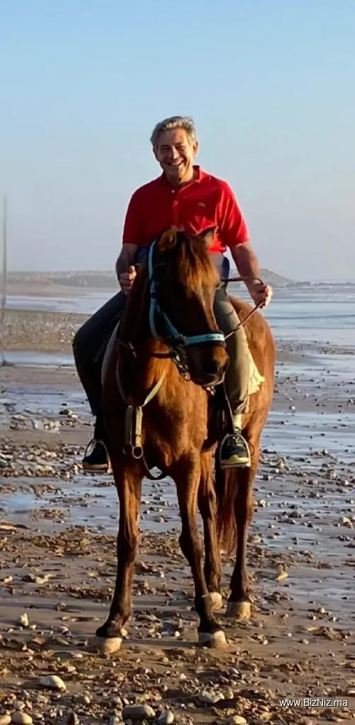 Horses Tin Hinan