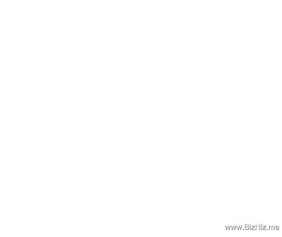 Stè RINGOO ANIMATION