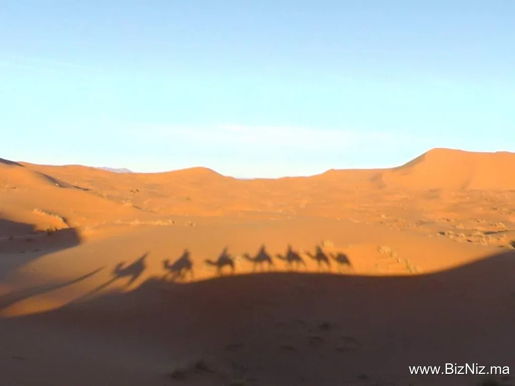 Agadir Tours