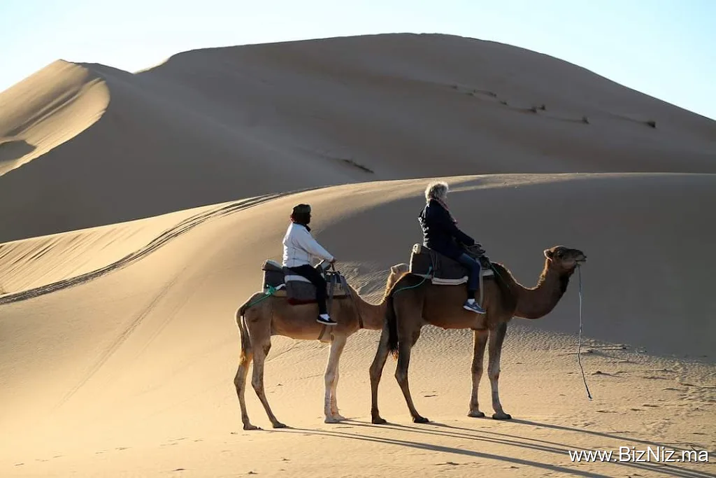 Agadir Tours