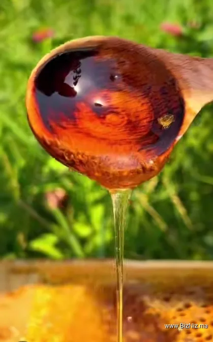 Assil honey and spices