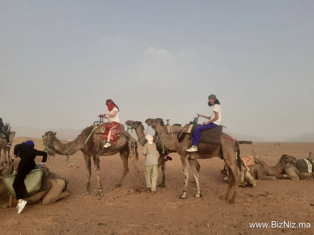 Village artisanal de potiers tamegroute chez dani abdelhak