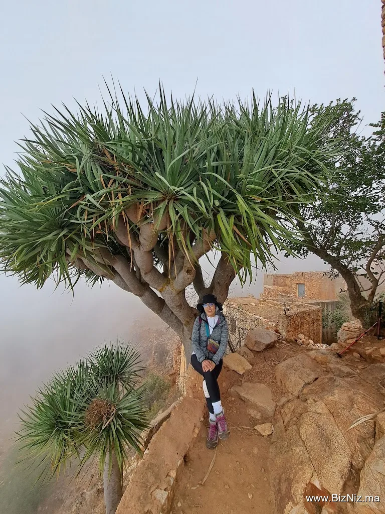 Widetrek Morocco by forestours